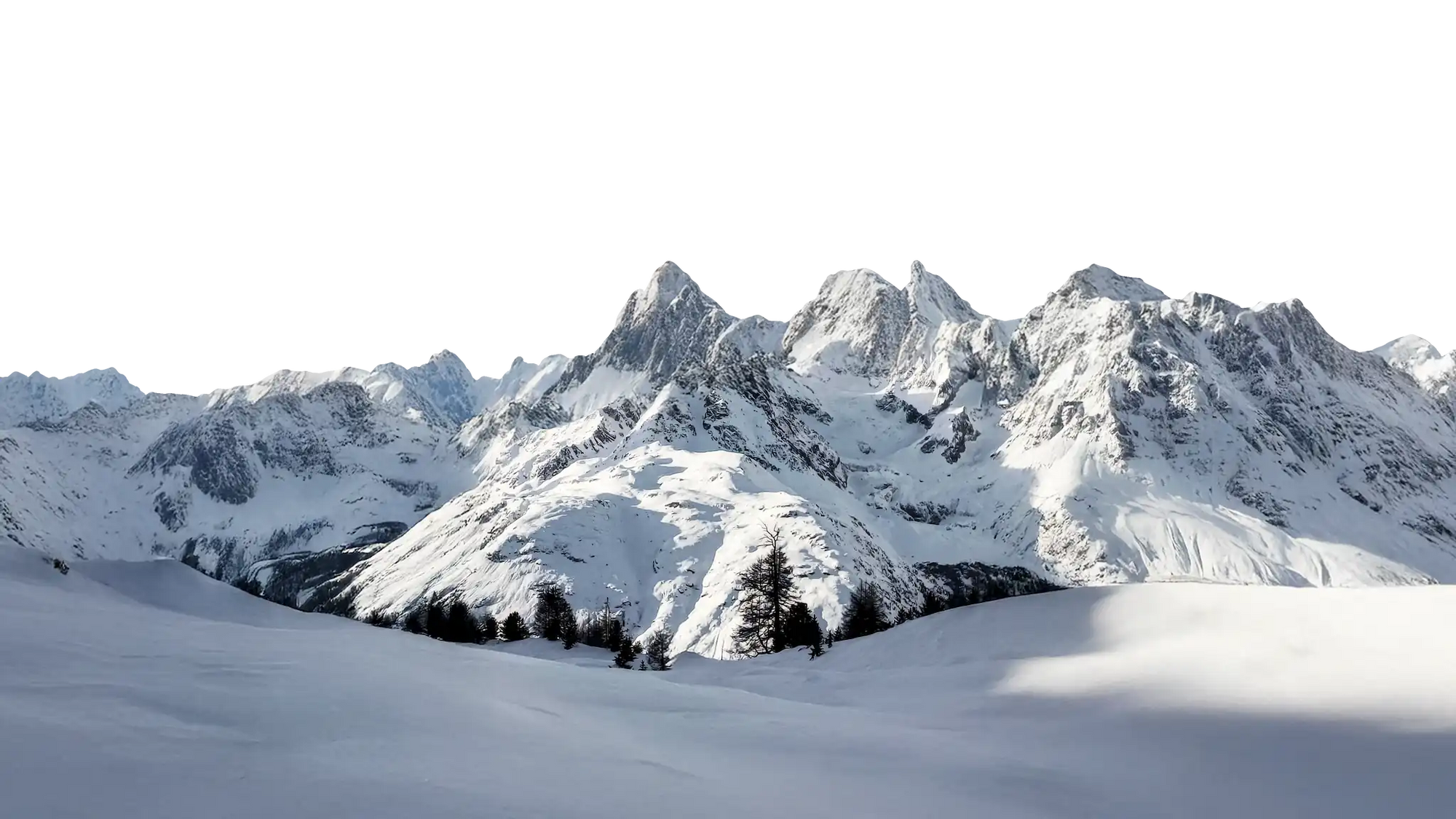 Snow-covered mountain range with trees in the foreground