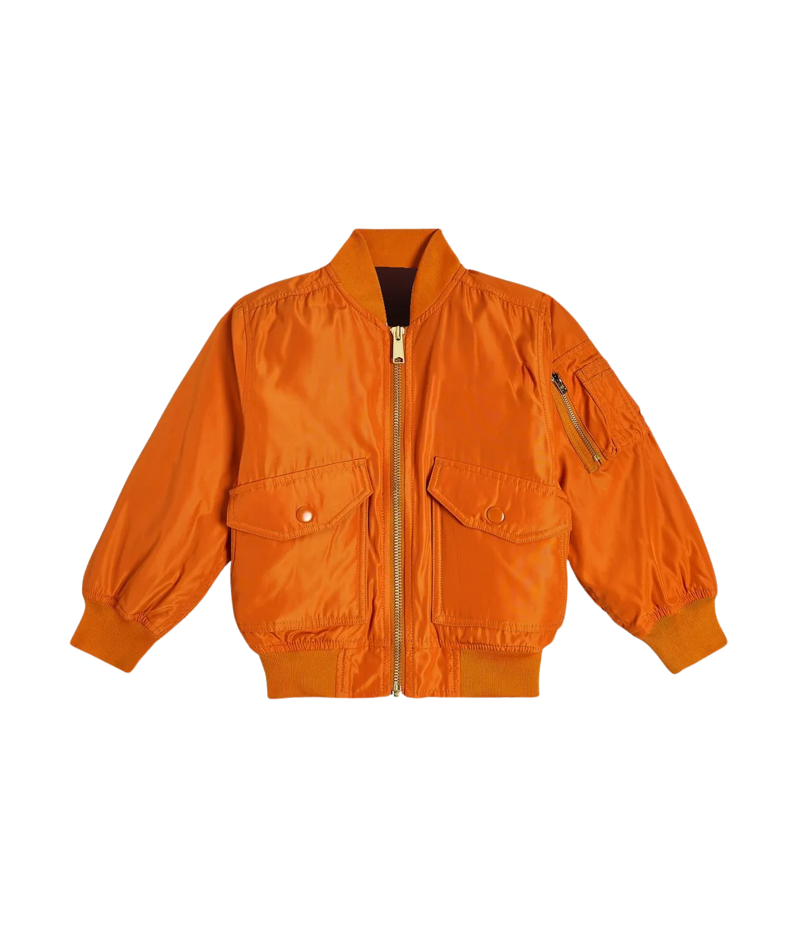 Orange jacket on a transparent background